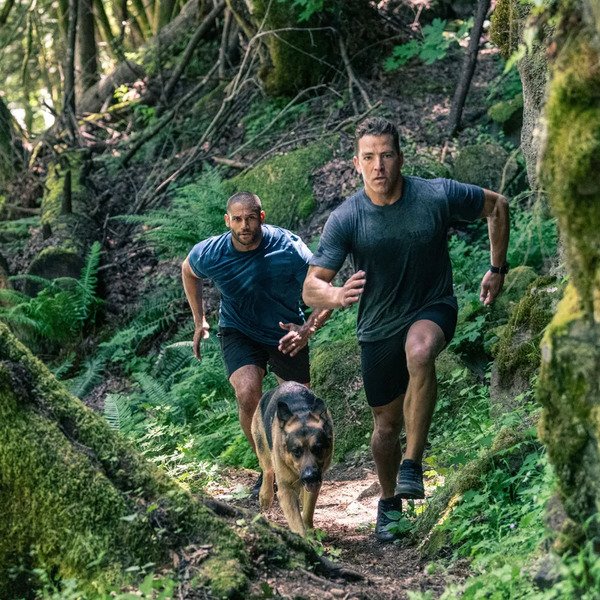 CAMISETA TRIBLEND LEGACY 41230ABL